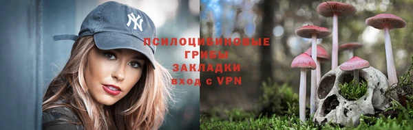 mdpv Белоозёрский