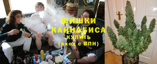 прущие крисы Белокуриха