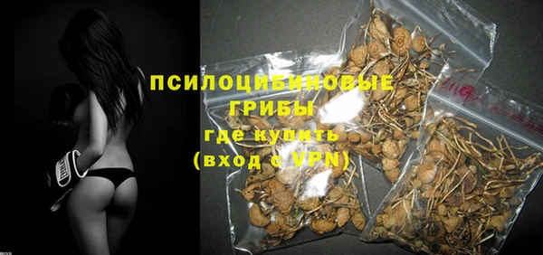 прущие крисы Белокуриха